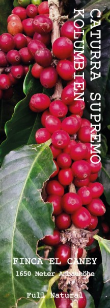 Caturra Supremo Kaffee El Caney - Kolumbien